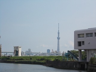 �N���b�N����Ɗg��摜���w���ł��܂�