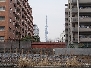 クリックすると拡大画像(1280×1024)が購入できます